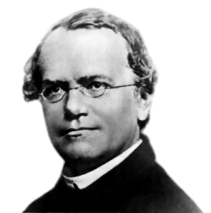 craiyon_200130_image